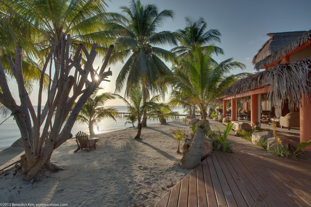 Robert'S Grove Beach Resort Placencia Buitenkant foto