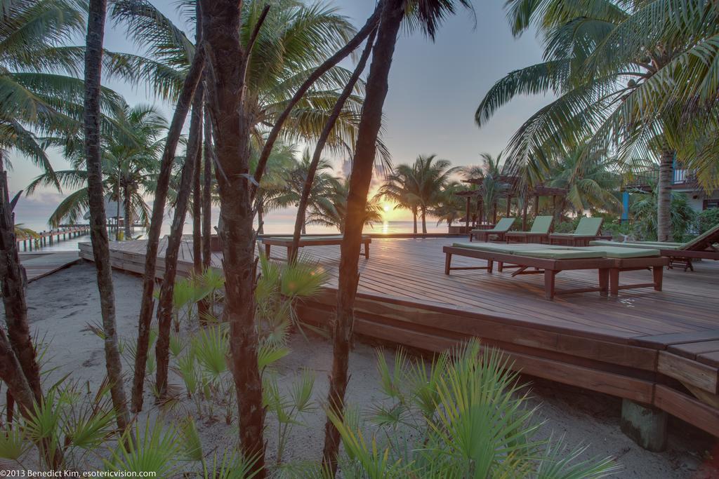 Robert'S Grove Beach Resort Placencia Buitenkant foto